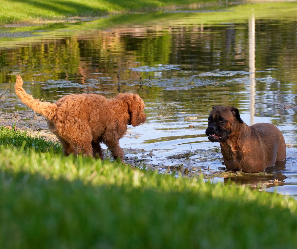 Editorial: July 22, 2022